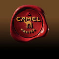 Camel Coklat Kretek