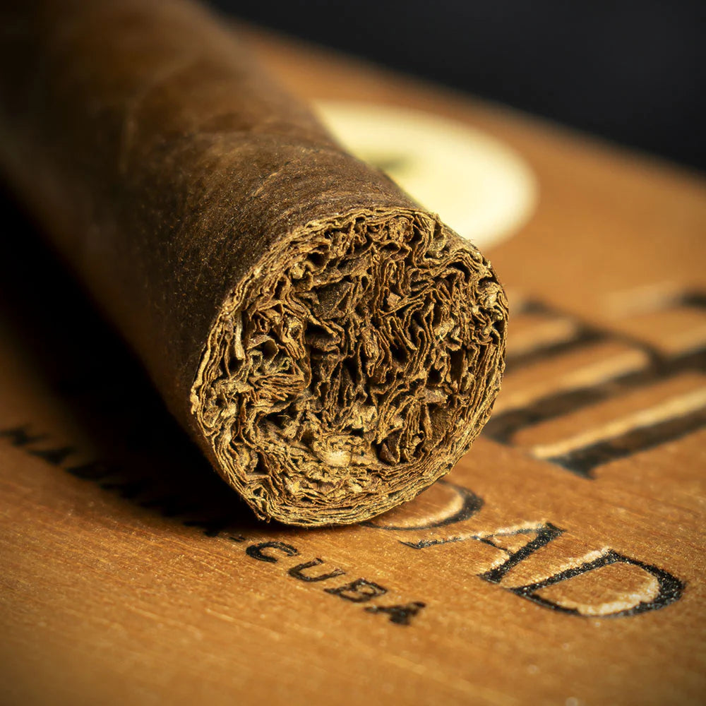 Trinidad Fundadores Cuban Cigar - Single