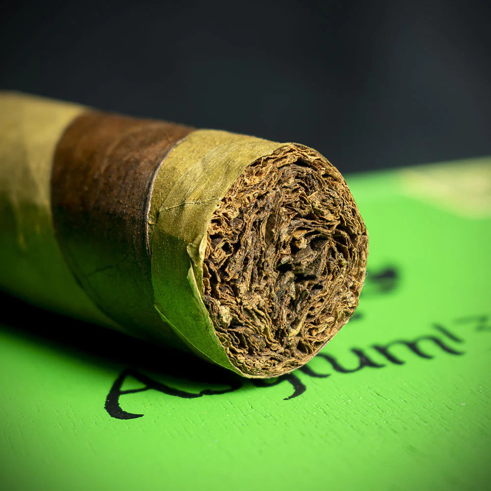 Asylum 13 Ogre Nicaragua Toro Gordo Cigar - Single
