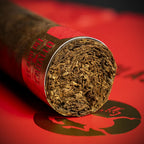 Plasencia Year of the Horse Limited Edition Cigar - Single