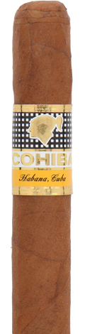 Cohiba Siglo II Cuban Cigar - Single