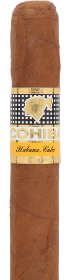 Cohiba Siglo II Cuban Cigar - Single