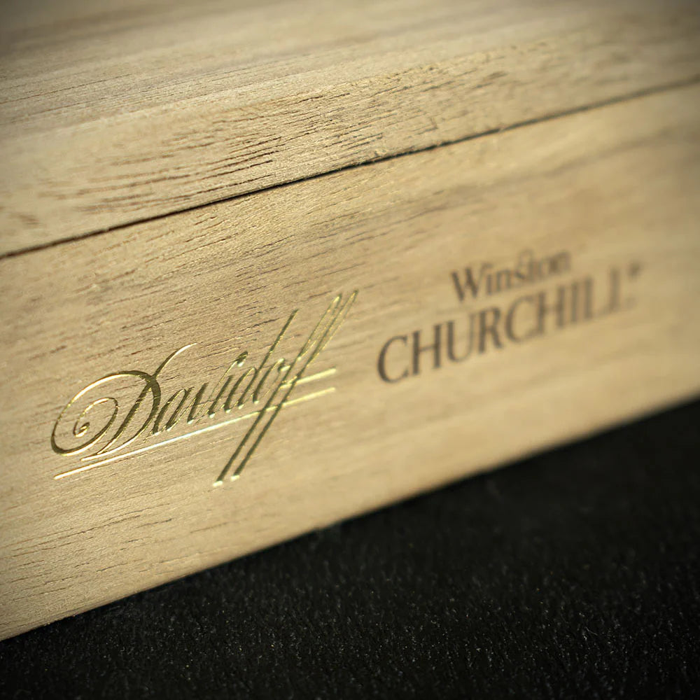 Davidoff Winston Churchill The Artist Limited Edition 2025 Churchill Cigar - Single