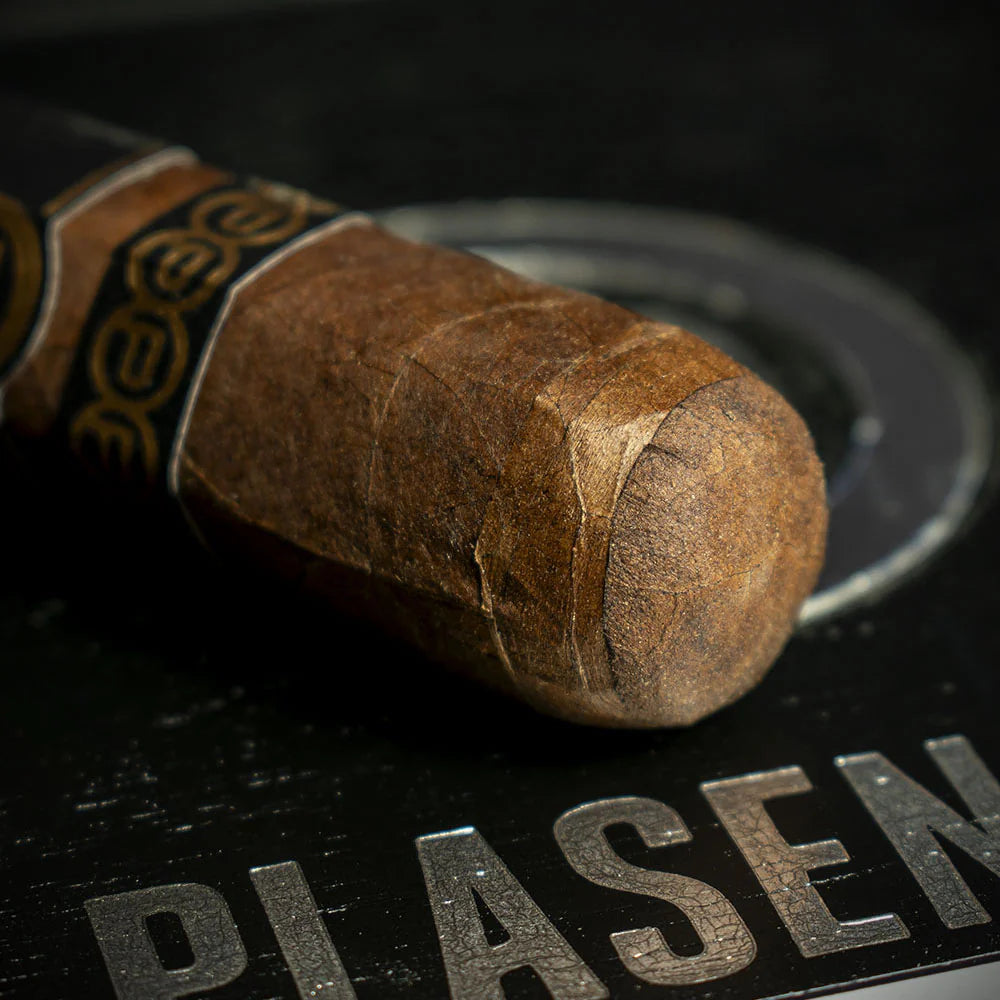 Plasencia Alma Fuerte Sixto II Hexagono Cigar - Single