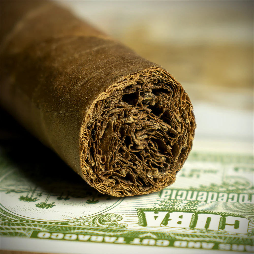 Trinidad Reyes Cuban Cigar - Single
