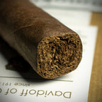 Davidoff Master Edition Clubhouse Toro Limited Edition Cigar - Single