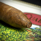 Cuaba Salomones Cuban Cigar - Single