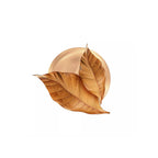 Mevius Aroma Rich Regular
