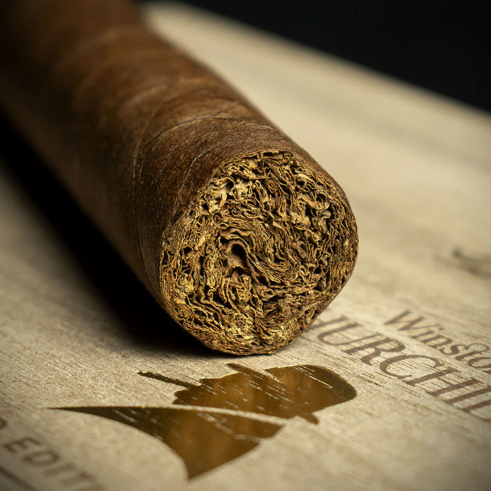Davidoff Winston Churchill The Artist Limited Edition 2025 Churchill Cigar - Single