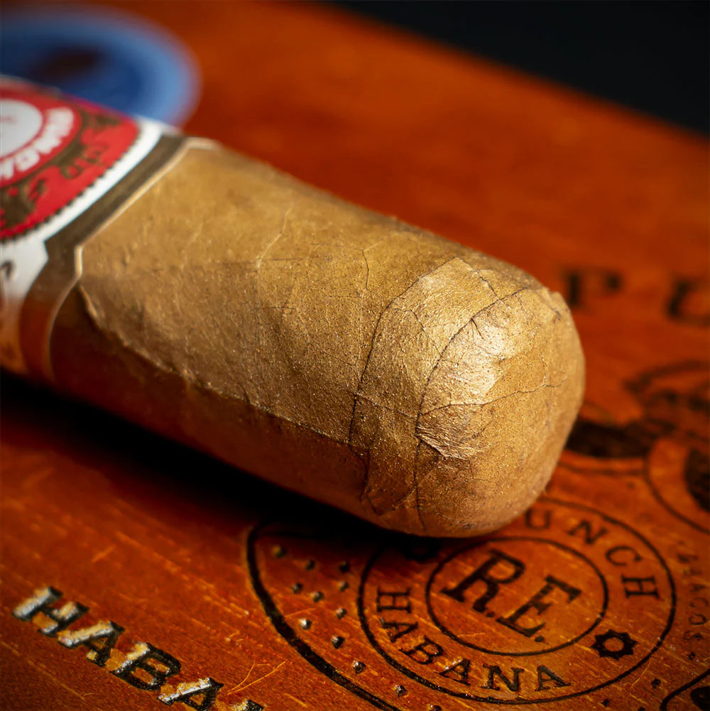 Punch Punch 48 Cuban Cigar La Casa Del Habanos - Single