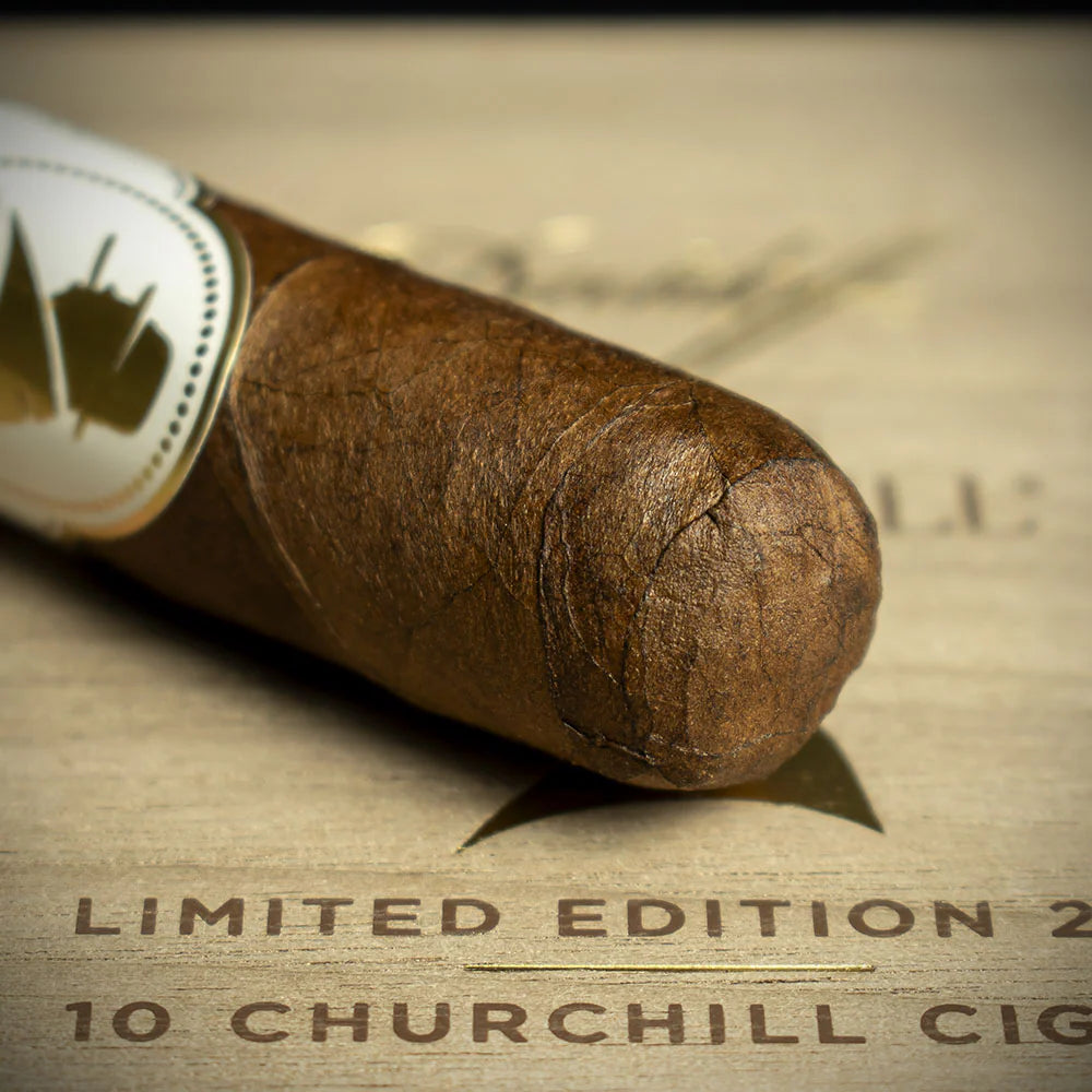 Davidoff Winston Churchill The Artist Limited Edition 2025 Churchill Cigar - Single