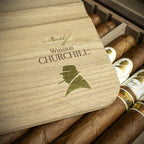 Davidoff Winston Churchill The Artist Limited Edition 2025 Churchill Cigar - Single