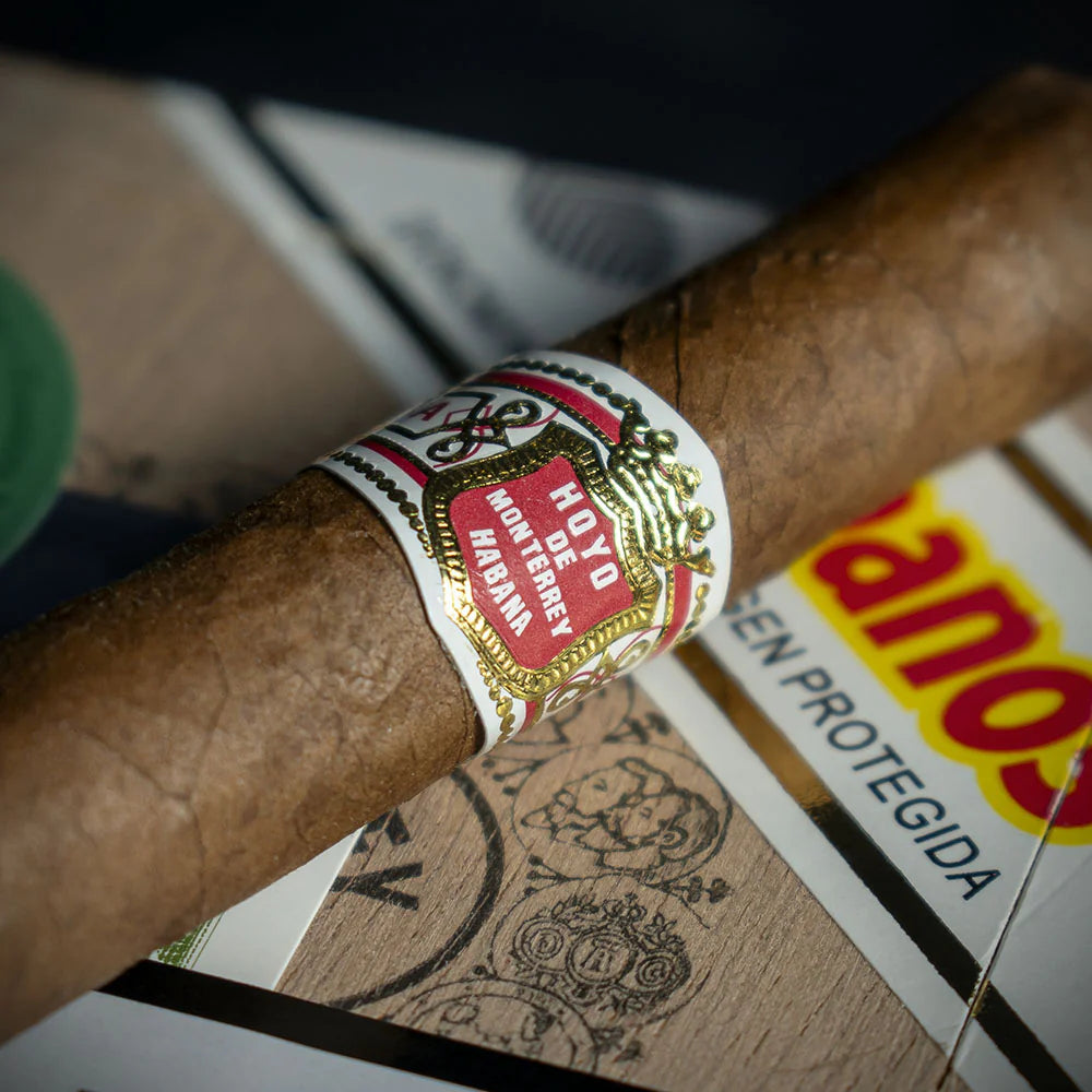 Hoyo de Monterrey Le Hoyo Du Maire Cuban Cigar - Single