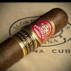 Partagas Maduro No.1 Cuban Cigar - Single