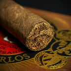 Arturo Fuente Don Carlos Robusto Cigar - Single