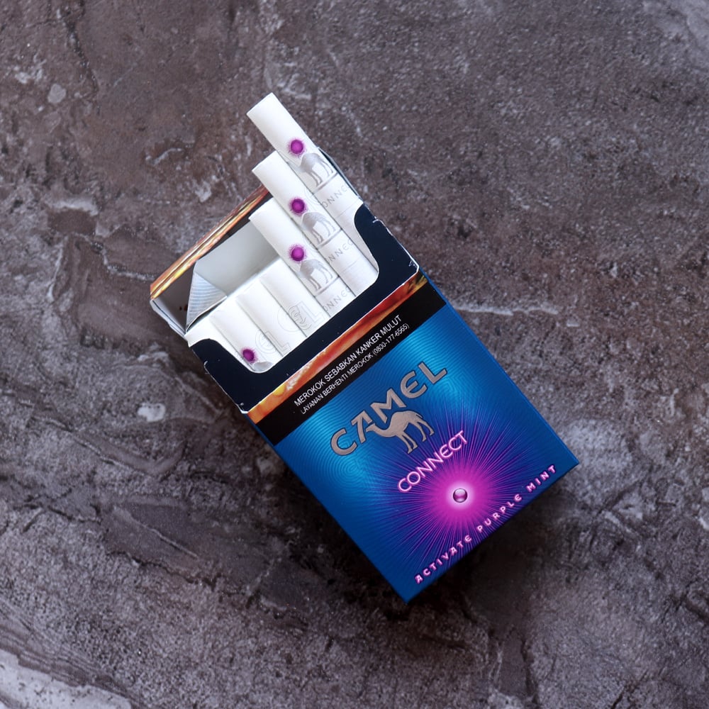 Camel Connect Activate Purple Mint