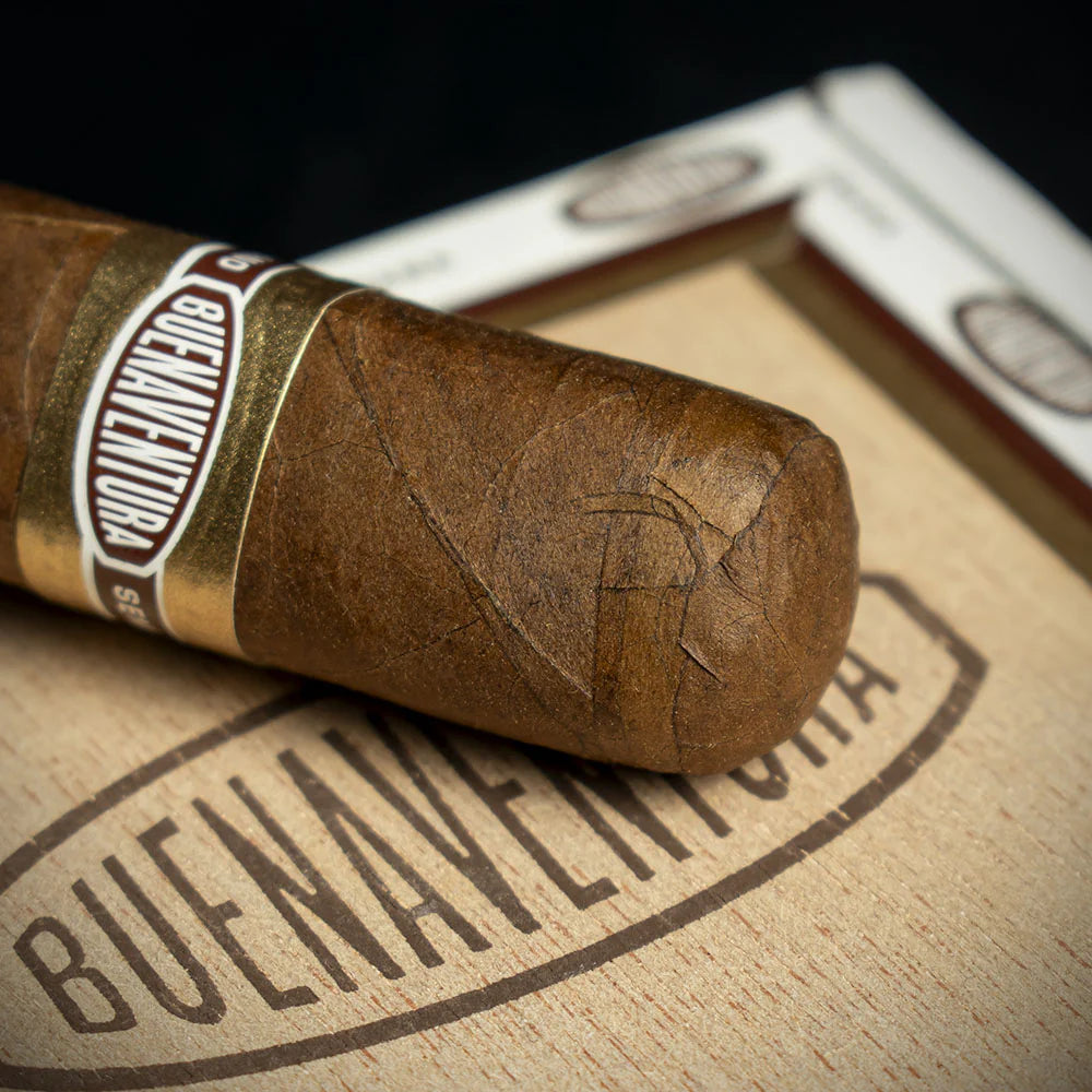 Curivari Buenaventura BV 500 Nicaraguan Robusto Cigar - Single