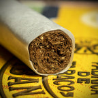 Fonseca Cosacos Cuban Cigar - Single