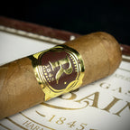 Vegas Robaina Famosos Cuban Cigar - Single