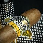 Cohiba Robustos Tubos Cuban Cigar - Single