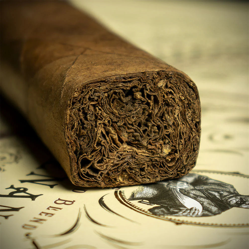 Gurkha Revenant Corojo Box Pressed Robusto Cigar - Single