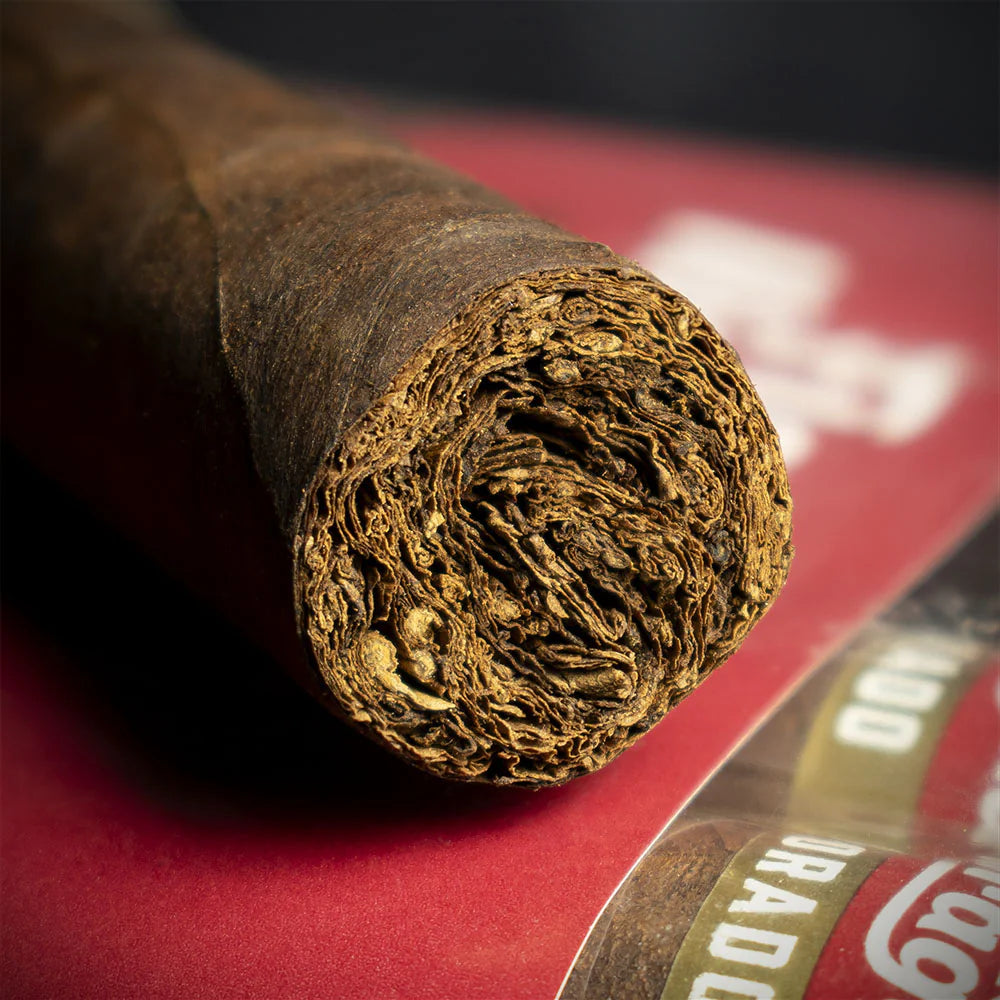 Flor de Nicaragua Colorado Robusto Cigar - Single
