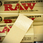 RAW Perforated Gummed Natural Tips - Bundle of 3