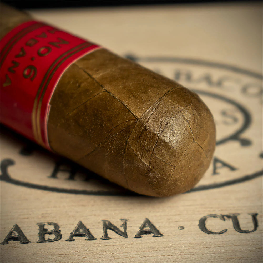 Partagas Serie D No.6 Cuban Cigar - Single