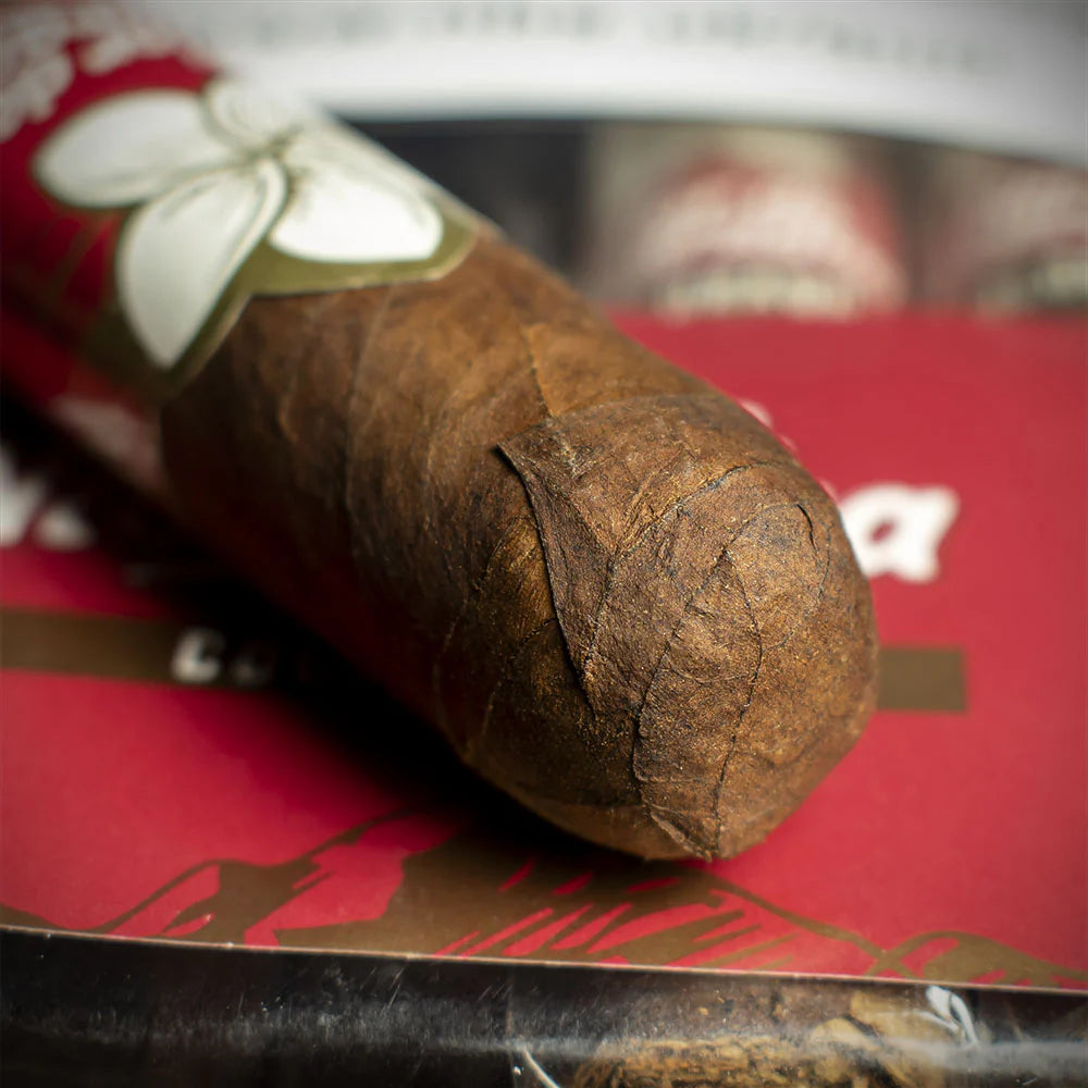 Flor de Nicaragua Colorado Robusto Cigar - Single