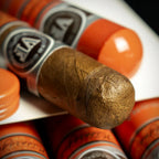 Vega Fina Nicaragua Coronas Tubos Cigar - Single