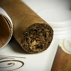 Davidoff Signature No. 2 Tubos Cigar - Single