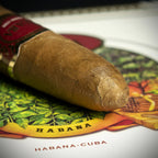 Cuaba Distinguidos Cuban Cigar - Single