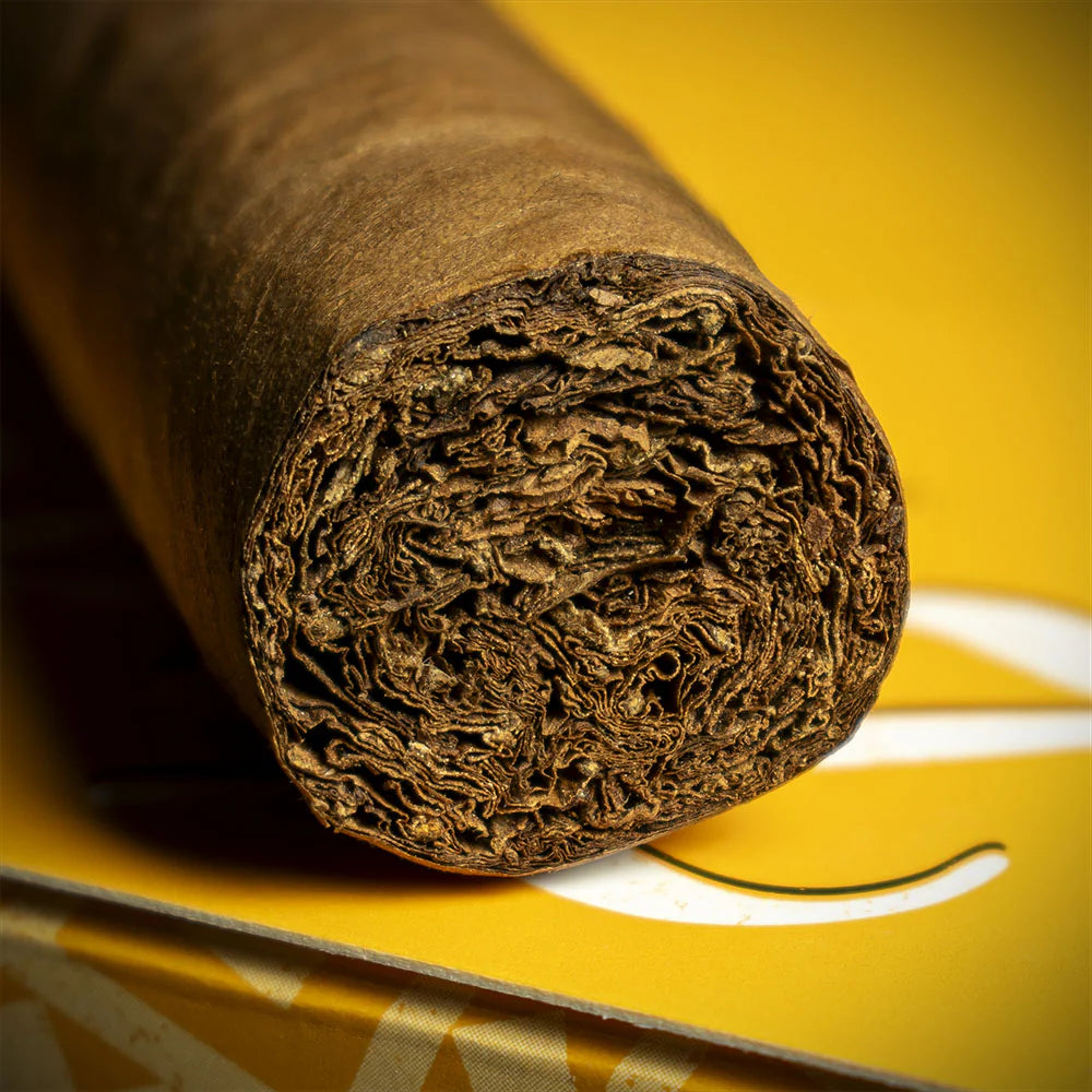 Zino Nicaragua Robusto Cigar - Single
