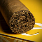 Zino Nicaragua Robusto Cigar - Single