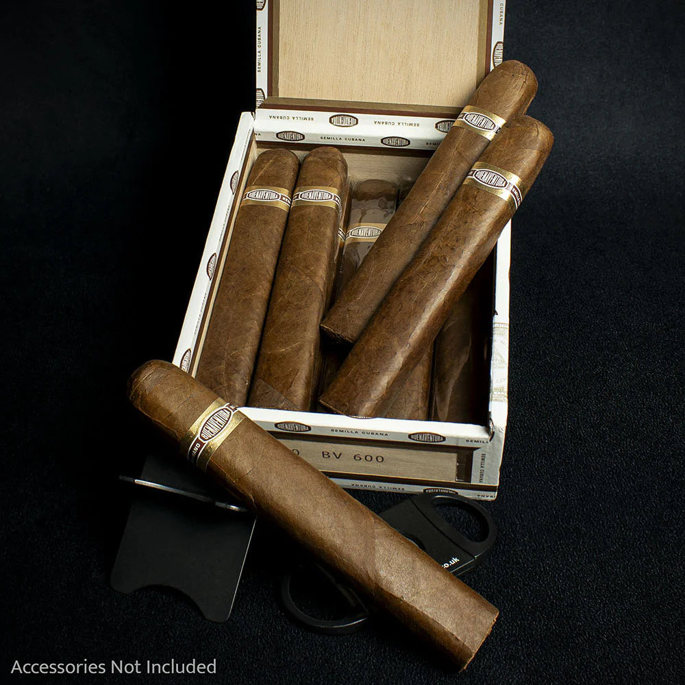 Curivari Buenaventura BV 600 Nicaraguan Toro Cigar - Single