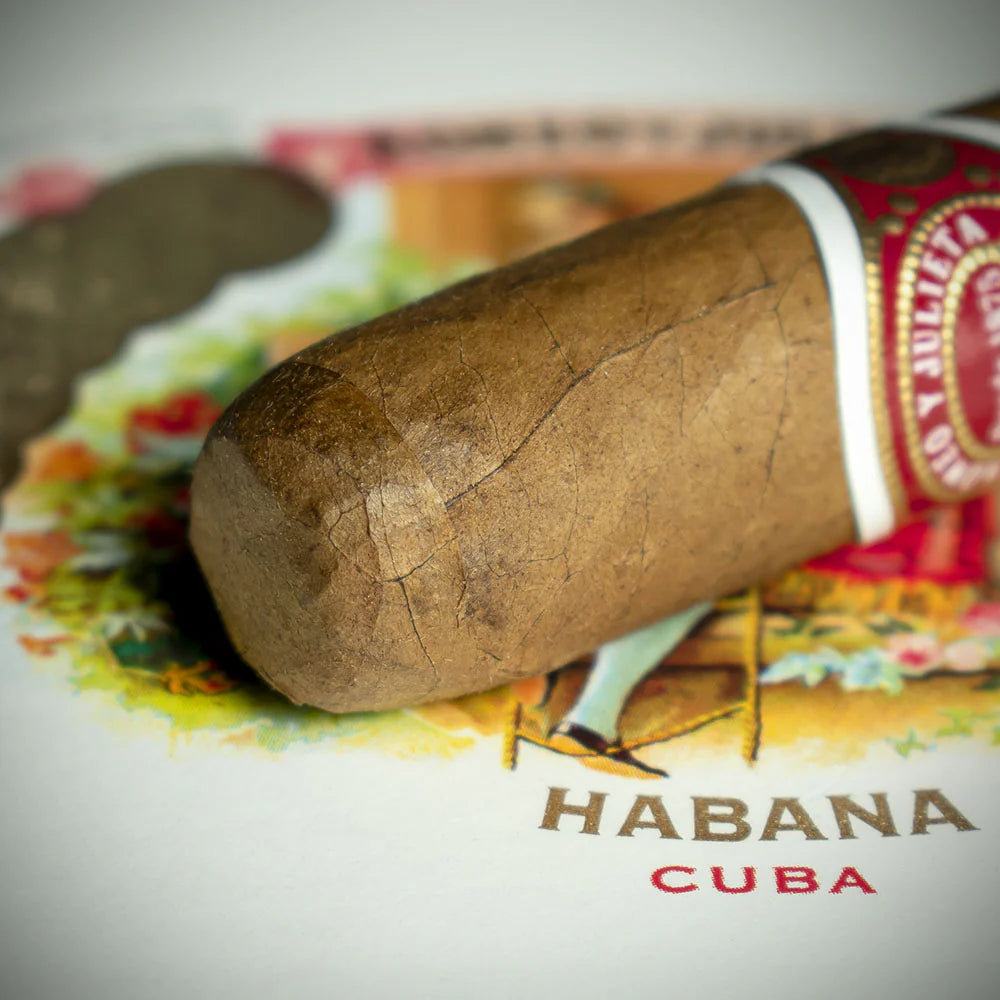 Romeo y Julieta Mille Fleur Cuban Cigar - Single