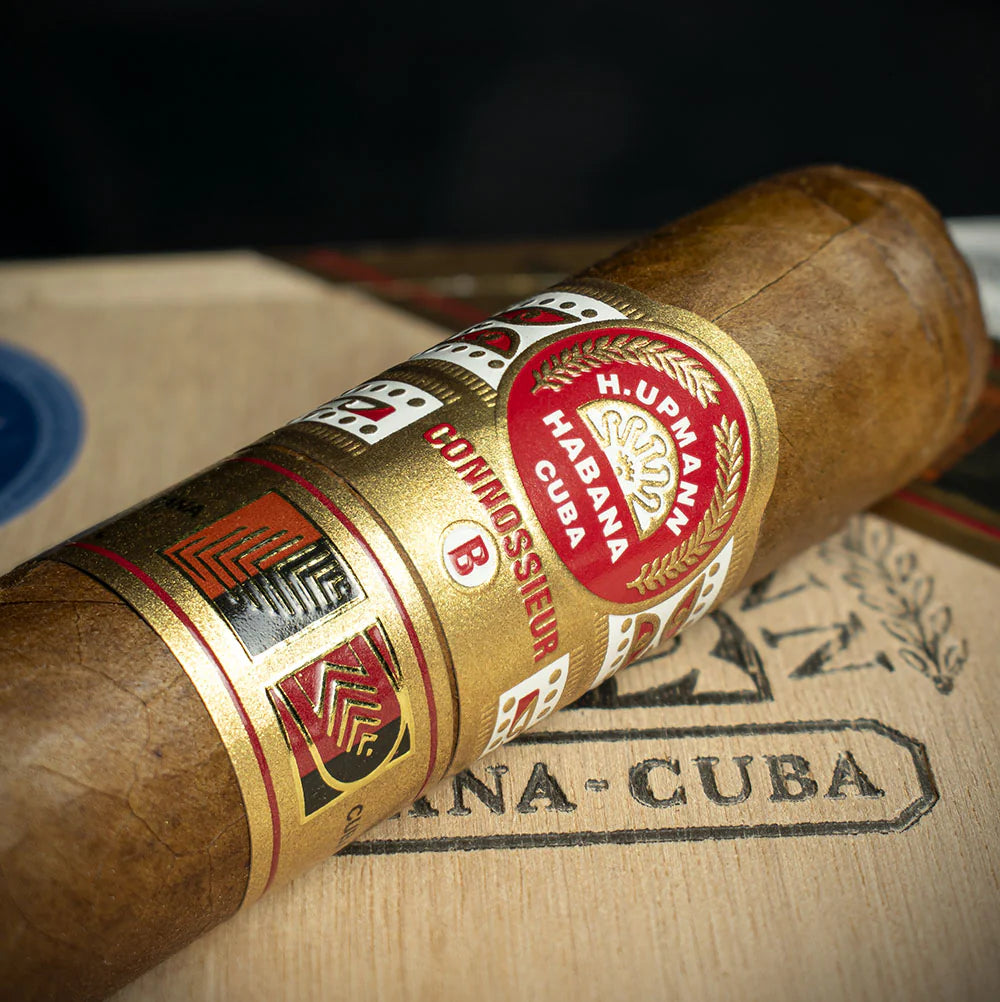 H. Upmann Connossieur B Cuban Cigar - Single