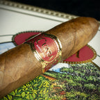 Cuaba Salomones Cuban Cigar - Single