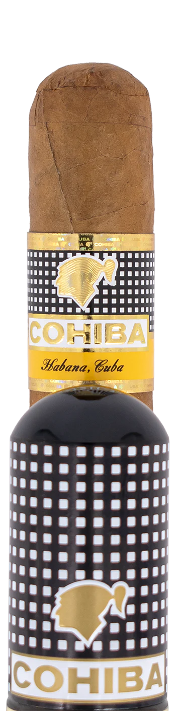 Cohiba Robustos Tubos Cuban Cigar - Single