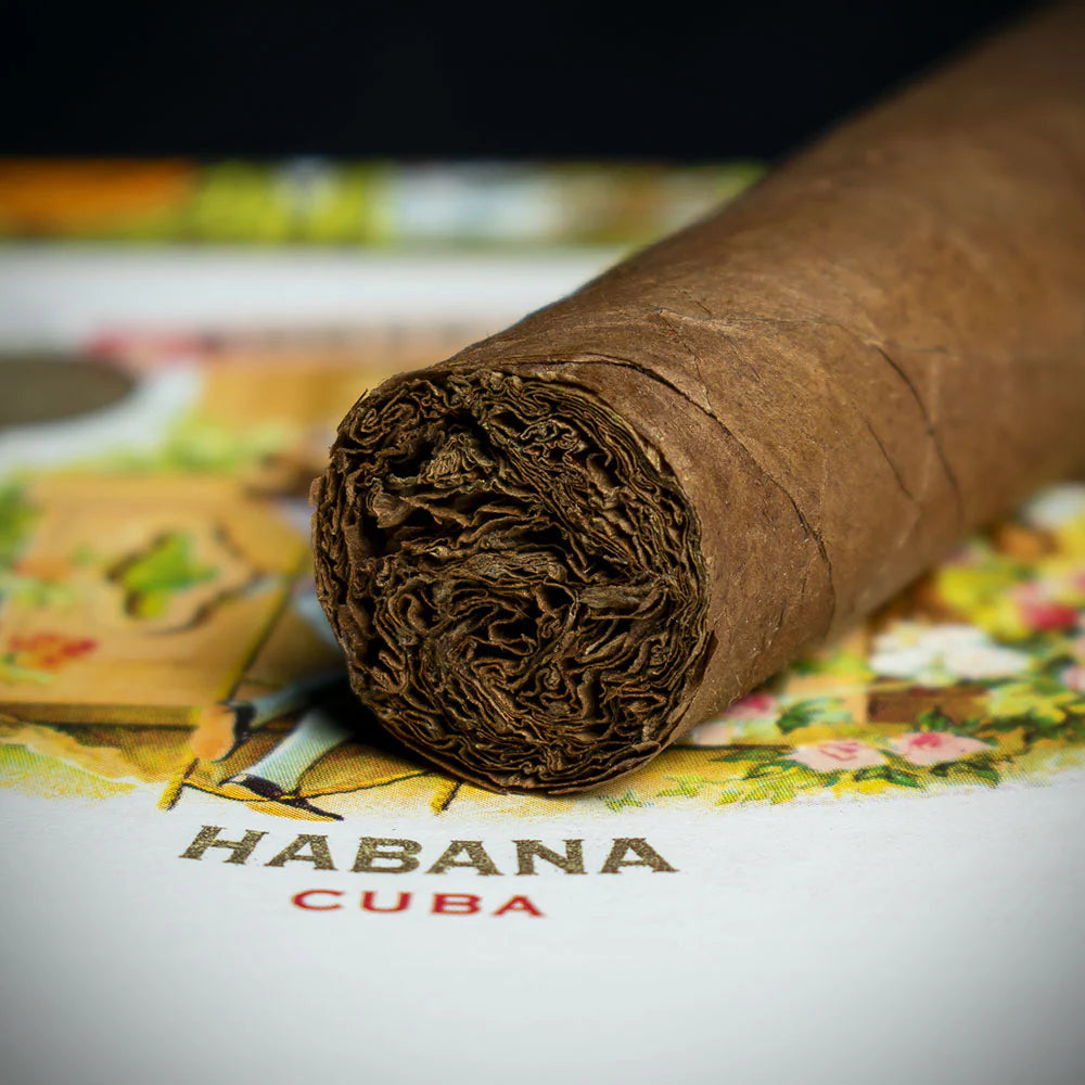 Romeo y Julieta Petit Coronas Cuban Cigar - Single