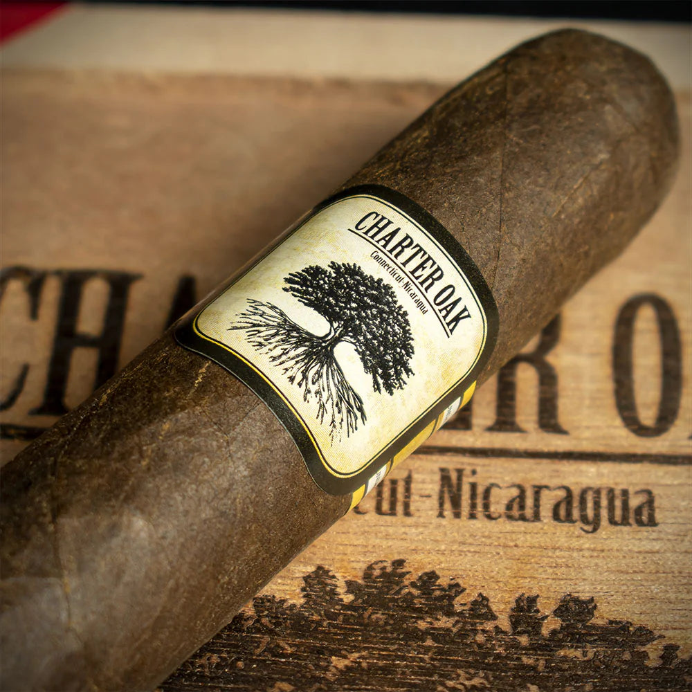 Foundation Cigars Charter Oak Connecticut Broadleaf Toro Cigar - Single