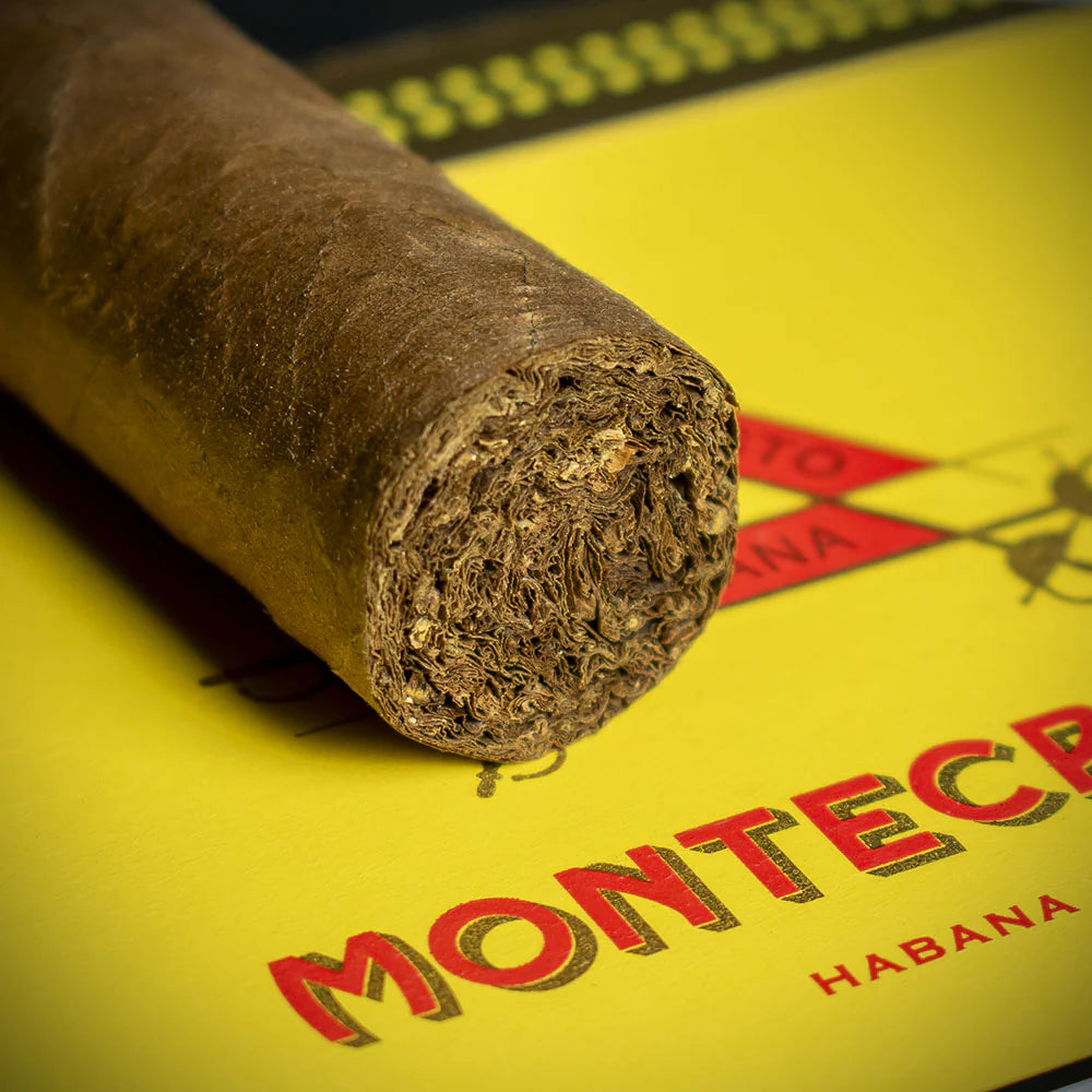Montecristo Petit No.2 Cuban Cigar - Single