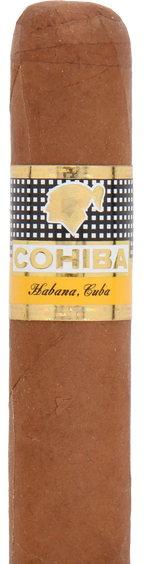 Cohiba Robustos Cuban Cigar - Single