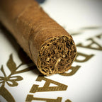 Por Larranaga Montecarlo Cuban Cigar - Single
