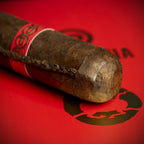 Plasencia Year of the Horse Limited Edition Cigar - Single