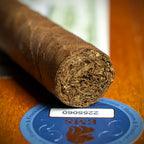 Cohiba Siglo II Cuban Cigar - Single