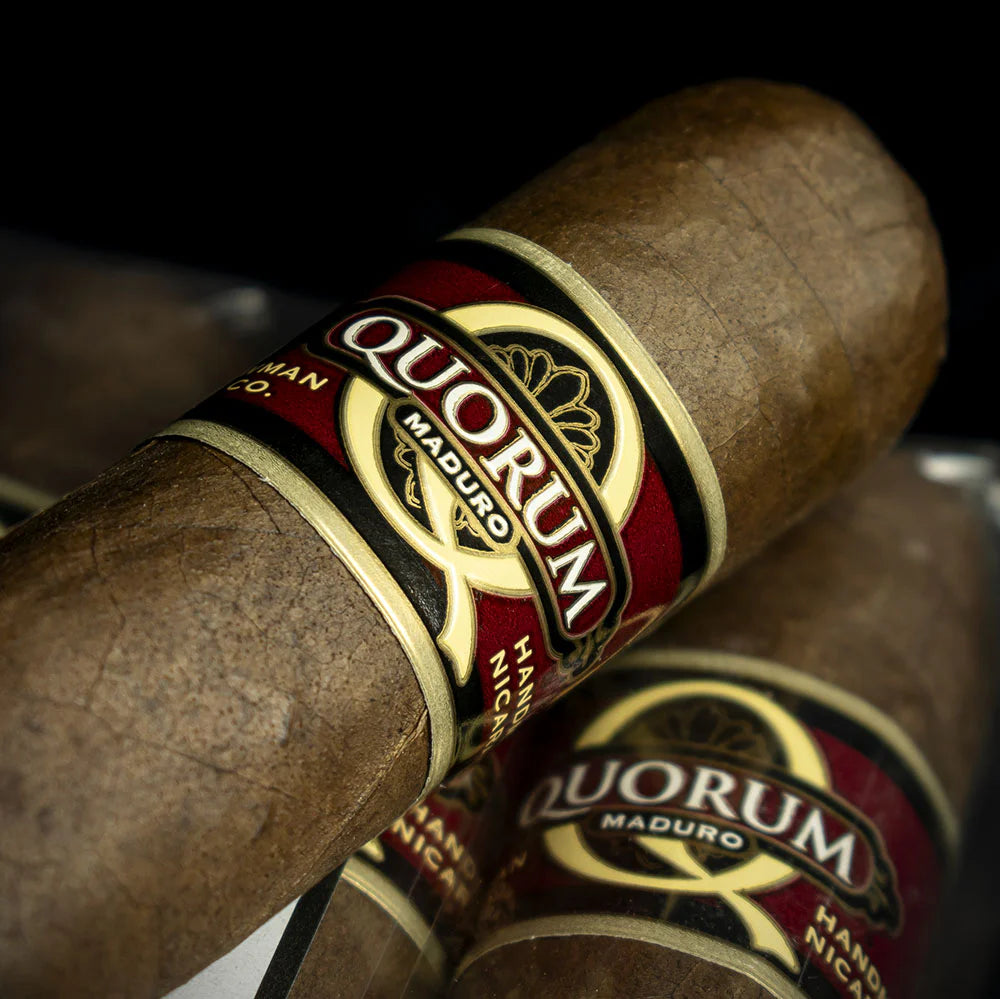 Quorum Maduro Double Gordo Cigar - Single