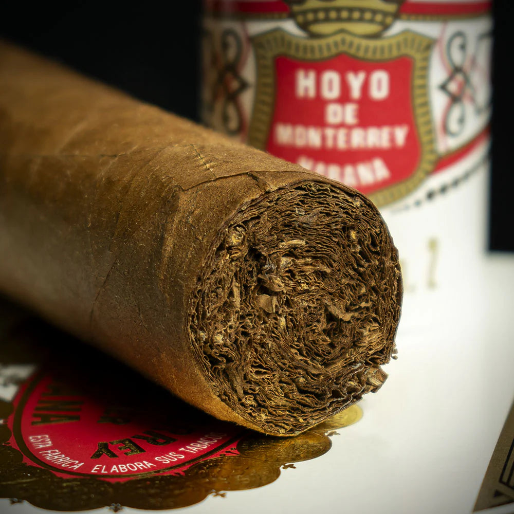 Hoyo De Monterrey Epicure No.2 Tubos Cuban Cigar - Single