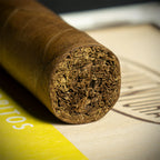 Curivari Buenaventura Favoritos Connecticut Cigar - Single