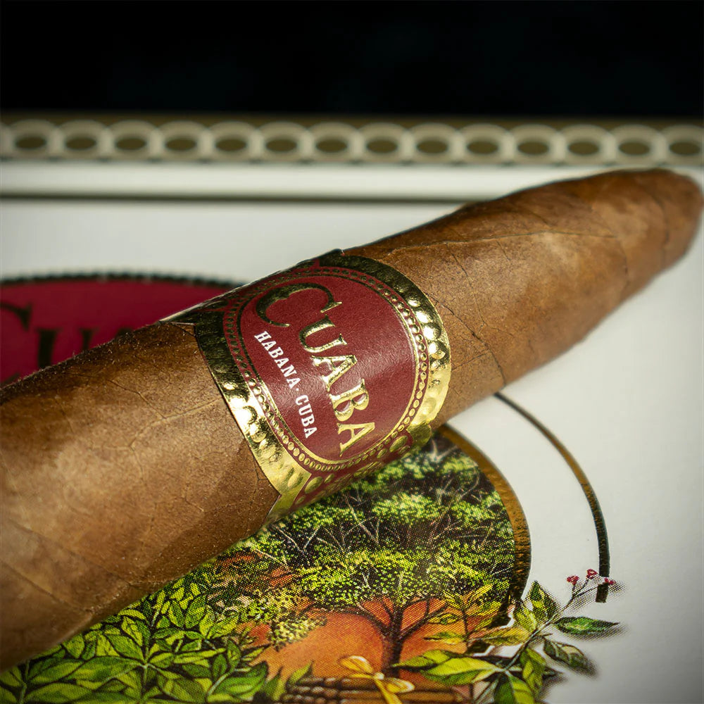 Cuaba Tradicionales Cuban Cigar - Single
